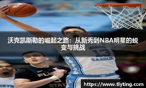 沃克凯斯勒的崛起之路：从新秀到NBA明星的蜕变与挑战