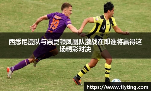 西悉尼漫队与惠灵顿凤凰队激战在即谁将赢得这场精彩对决